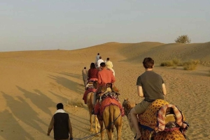 Woestijntour Jaisalmer