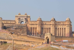 Discover Jaipur with a Private Car Tour