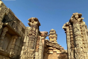 Из Удайпура: Экскурсия в форт Читторгарх с высадкой в Пушкаре