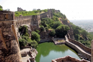 Из Удайпура: Экскурсия в форт Читторгарх с высадкой в Пушкаре