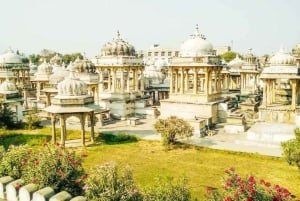 Descubriendo Udaipur: Un tour de medio día por los mejores monumentos