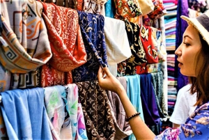 Descubriendo Udaipur: Un tour de medio día por los mejores monumentos