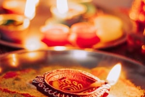 Agra: 3-Day Taj Mahal, Wildlife SOS & Ranthambore Safari