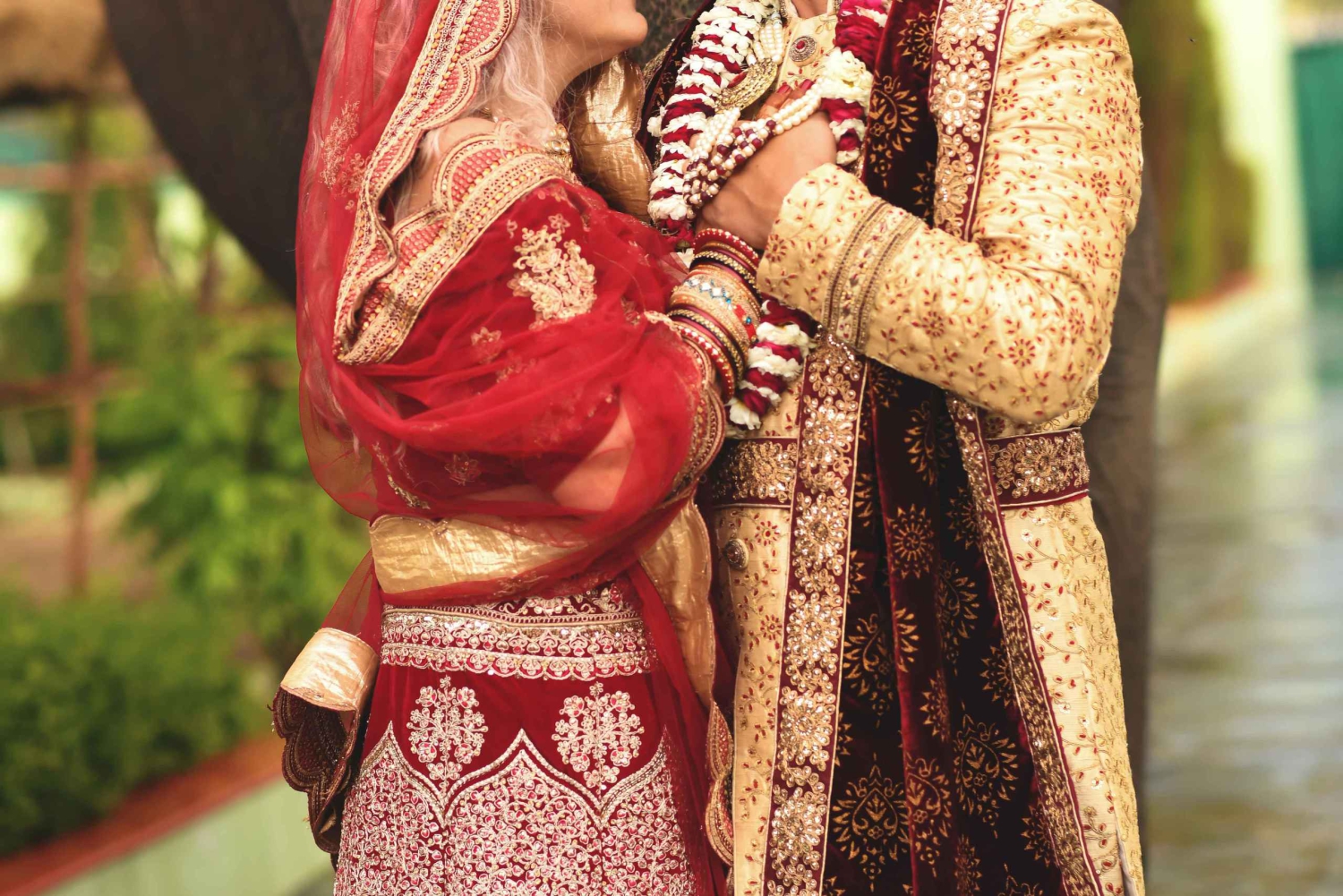 Visita al santuario de elefantes Elefantastic