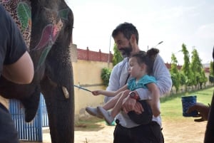 Elefuns beste elefantreservat i Jaipur