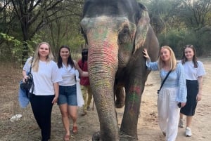 Elefun Mejor Santuario de Elefantes