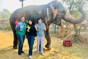 Elefun Best Elephant Sanctuary (Santuário de elefantes)