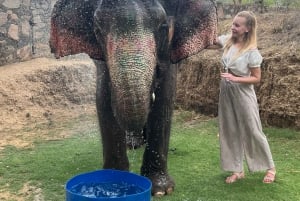 Elefuns bedste elefantreservat