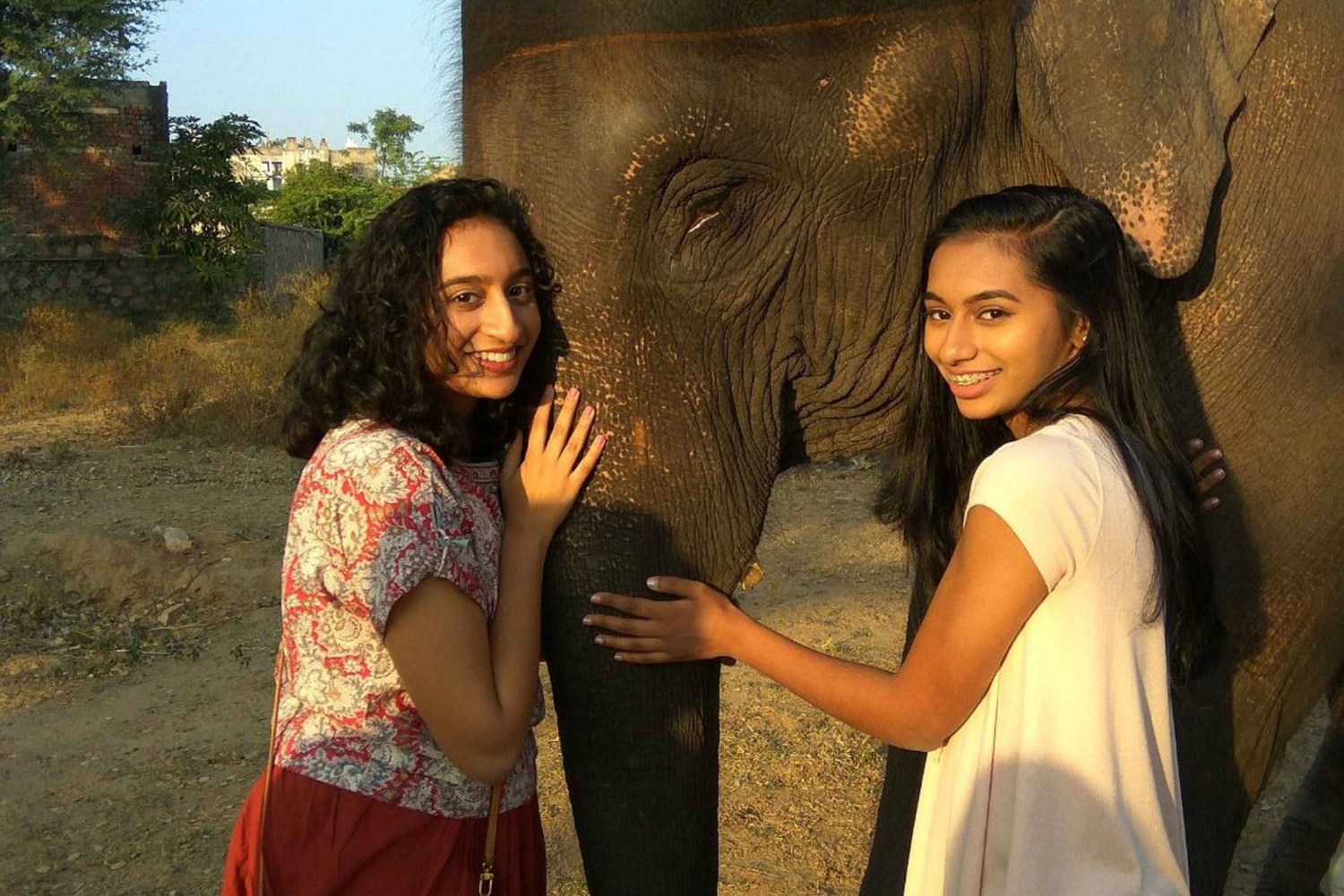 Elephant Sanctuary for Best elephant experience in Jaipur
