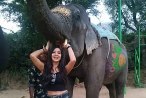 Fra Delhi: 3-dages tur til Den gyldne trekant med 5- og 3-stjernet hotel