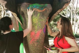 Fra Delhi: 3-dages tur til Den gyldne trekant med 5- og 3-stjernet hotel