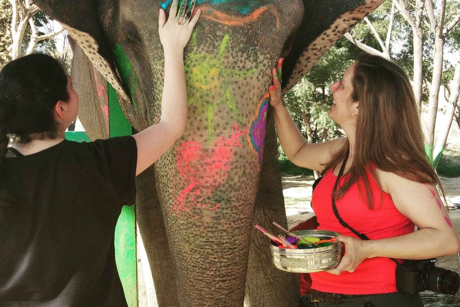 Enchanting Jaipur Trip with Elephant Sanctuary Overnight