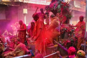 Goditi la celebrazione dell'Holi Festival con colori, musica e balli