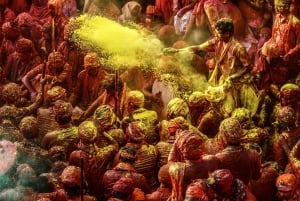 Goditi la celebrazione dell'Holi Festival con colori, musica e balli