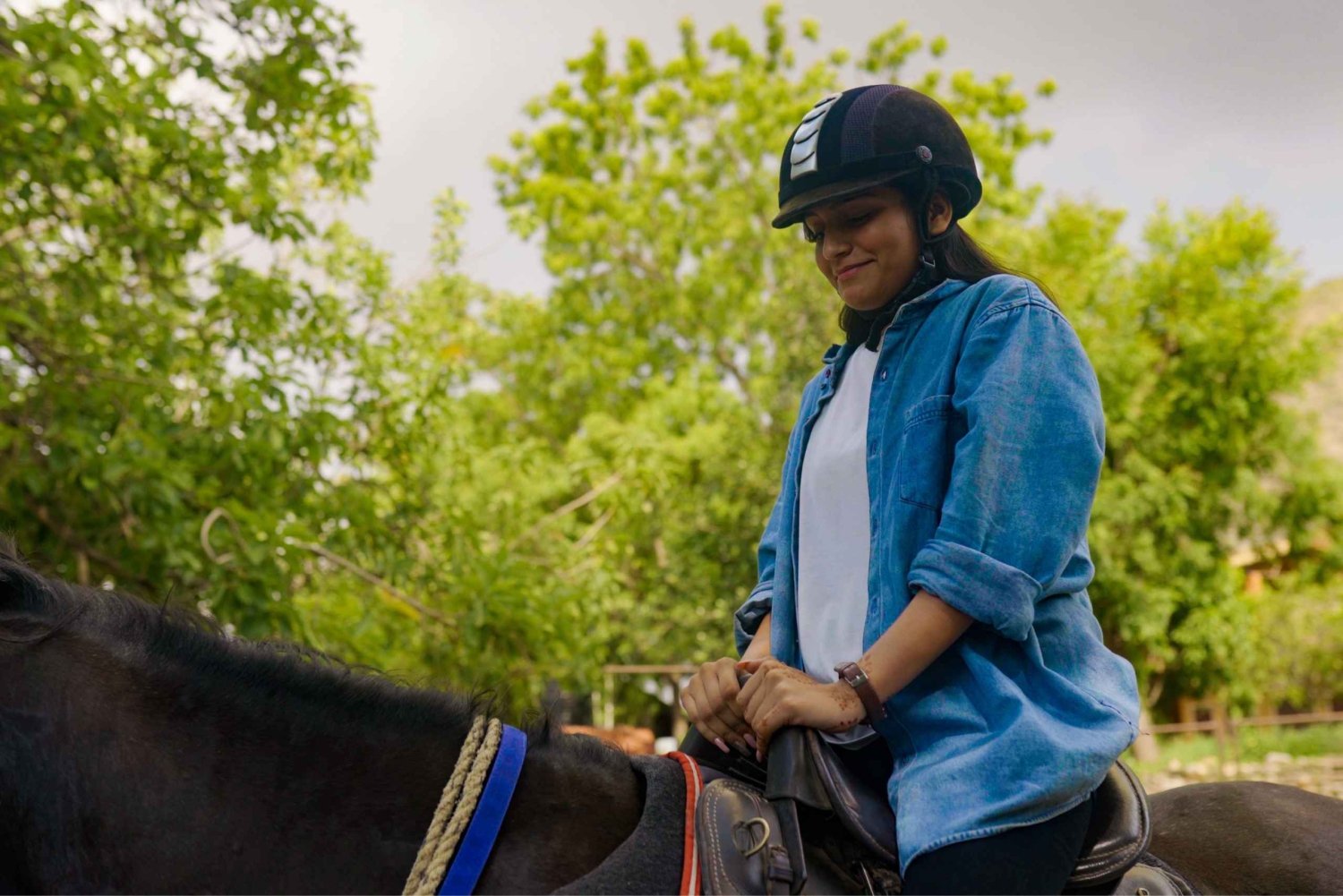 Equestrian Escape: Aventura de Safari a Cavalo