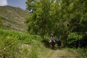 Equestrian Escape: Horse Safari Adventure