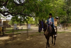 Equestrian Escape: Horse Safari Adventure
