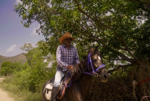 Equestrian Escape: Horse Safari Adventure