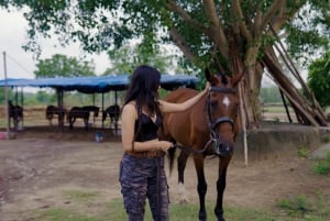 Equestrian Escape: Horse Safari Adventure
