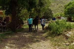 Equestrian Escape: Horse Safari Adventure