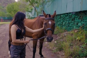 Equestrian Escape: Horse Safari Adventure