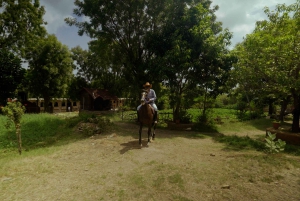 Equestrian Escape: Horse Safari Adventure