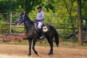 Equestrian Escape: Horse Safari Adventure