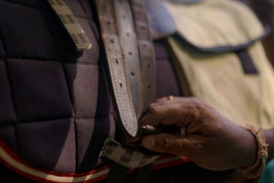 Equestrian Escape: Horse Safari Adventure