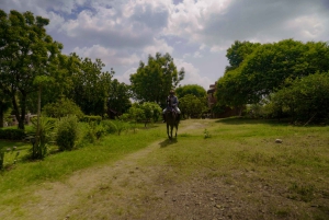 Equestrian Escape: Horse Safari Adventure