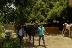 Equestrian Escape: Horse Safari Adventure