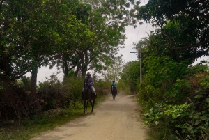 Equestrian Escape: Horse Safari Adventure