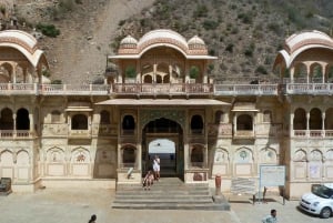 Jaipur: Private Night Tour and Monkey Temple Sunset Visit