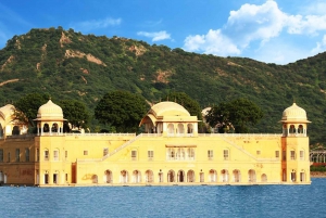 Jaipur: Private Night Tour and Monkey Temple Sunset Visit