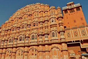 Jaipur: Private Night Tour and Monkey Temple Sunset Visit