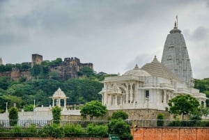 Jaipur: Private Night Tour and Monkey Temple Sunset Visit