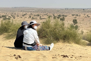 Exclusive Musical Evening at Desert Luxury Camp (NO CAMEL)