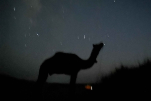 Exclusive Musical Evening at Desert Luxury Camp (NO CAMEL)