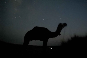 Exclusive Musical Evening at Desert Luxury Camp (NO CAMEL)