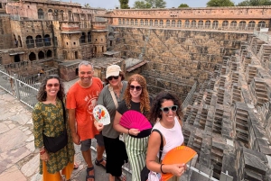 Utflykt till Abhaneri och apornas tempel från Jaipur