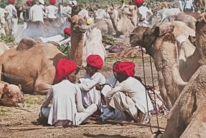 Spiritual & Social Anthropology Day Trip