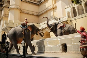 Utforska Udaipur på en dag – privat tur med bil och guide