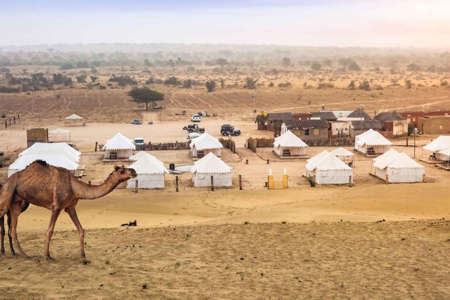 Jaisalmer: Aventura de 2 días en el desierto del Thar
