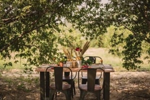 Maatilalta pöytään Aravallisin ympäröimällä Zen-ekotilalla