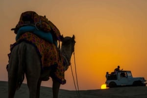 Acampada nocturna en el desierto del Paraíso del Frenesí en el desierto de Thar