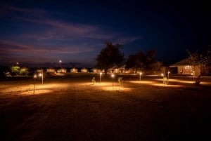 Frenzy Paradise Overnight Desert Camping Tour in Thar Desert