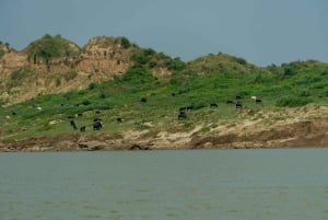 From Agra: Day Trip to Chambal River Safari with Lunch