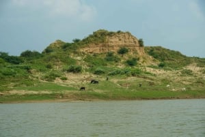 From Agra: Day Trip to Chambal River Safari with Lunch