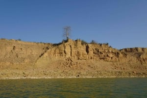 From Agra: Day Trip to Chambal River Safari with Lunch