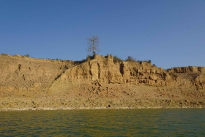 Agra: päiväkierros Chambal River Safarille ja lounas