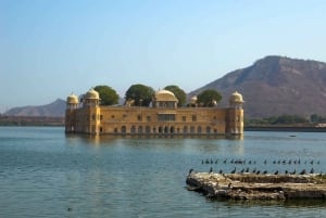Desde Agra: Tour privado de la ciudad de Jaipur en coche - Todo incluido